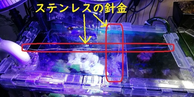 新館で 海水魚水槽のちょっとした工夫 魚飛び出し防止 蓋受けの簡単改造 を公開しました アクアクリリウム